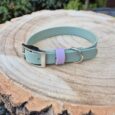 A light green dog collar with a silver buckle and a lavender loop rests on a round wooden tree stump outdoors, with green foliage visible in the background.
