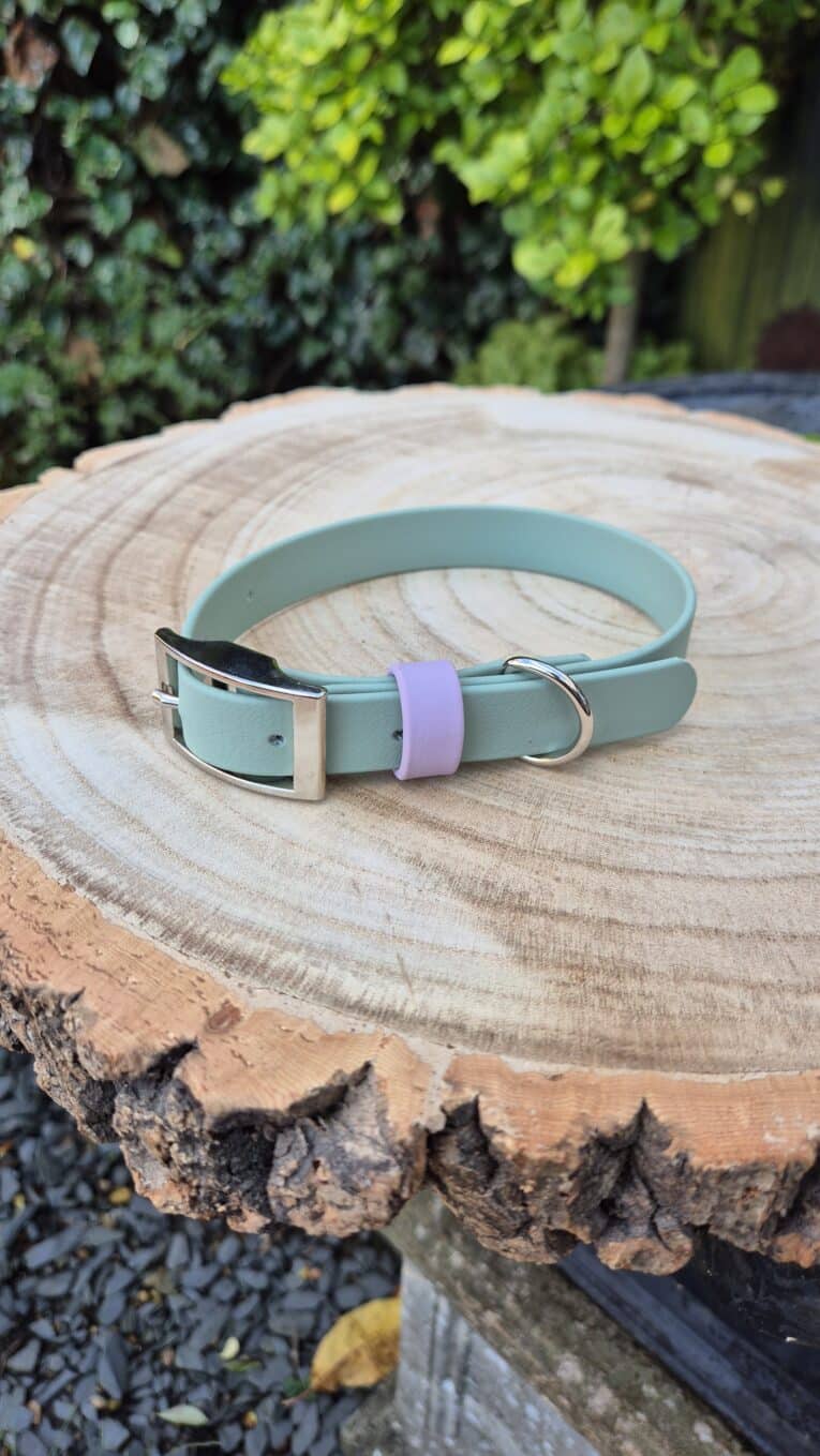 A light green dog collar with a silver buckle and a lavender loop rests on a round wooden tree stump outdoors, with green foliage visible in the background.