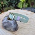 A light green pet collar with a silver buckle and a lavender loop rests on a grey stone atop a wooden tree stump, with green plants in the blurred background.