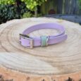 A lilac dog collar with a green accent and silver buckle rests on a large, circular wooden tree stump outdoors, with leafy green plants and a dark fence in the background.