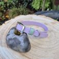 A pastel purple and mint green pet collar with a silver buckle rests on a smooth grey stone, which sits on a tree stump in an outdoor garden setting with greenery in the background.