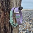 Two dog collars, one green and one lavender, hang from a weathered wooden post on a rocky beach, with the sea and cloudy sky visible in the background.