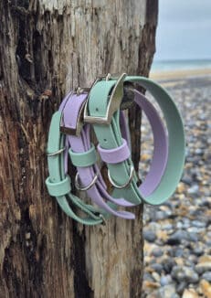 Sea Lavender Collar