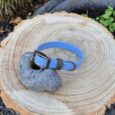 A light blue dog collar with a bronze buckle is draped over a grey stone, placed on a large, circular wooden stump outdoors, with plants and fallen leaves visible in the background.