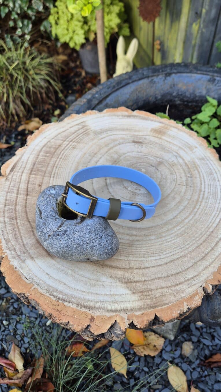 A light blue dog collar with a bronze buckle is draped over a grey stone, placed on a large, circular wooden stump outdoors, with plants and fallen leaves visible in the background.