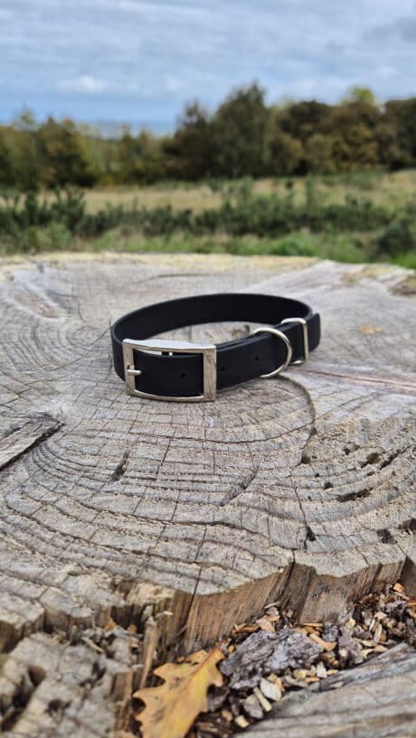 Black Single Colour Collar