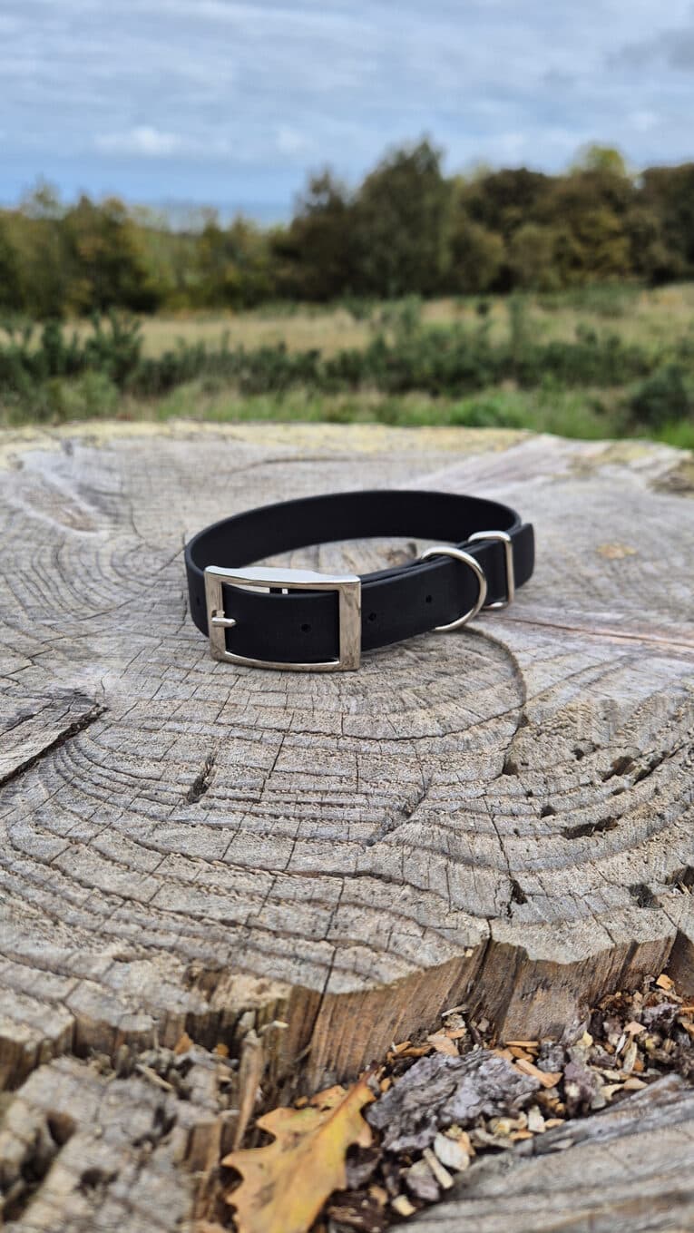 A black leather collar with a silver buckle and D-ring rests on a large tree stump in an outdoor natural setting with grass, trees, and a cloudy sky in the background.