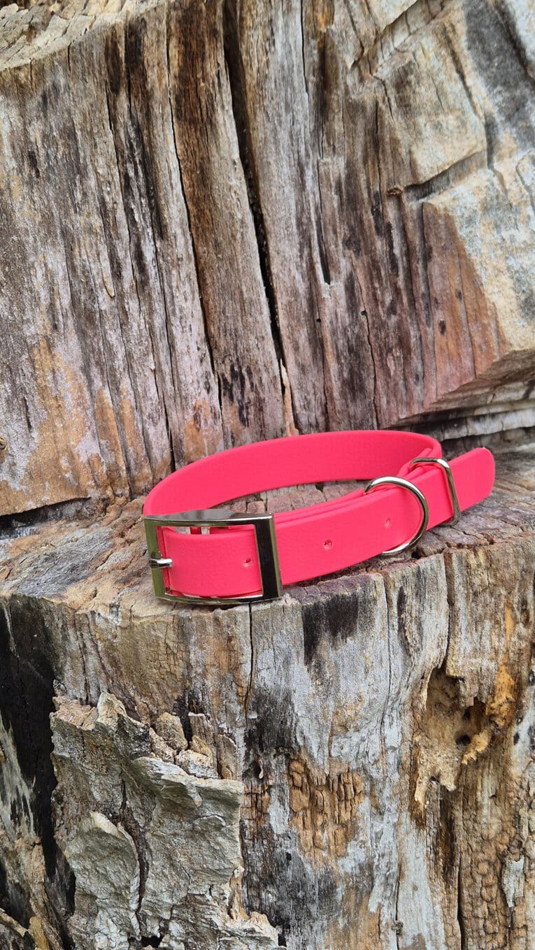 A bright pink leather belt with a gold buckle is placed on a rough, textured, weathered tree stump.