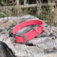 A bright pink dog collar with a silver buckle and D-ring resting on a weathered tree stump, with grass and wooden fencing in the blurred background.