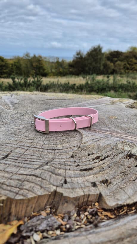 Powder Pink Single Colour Collar