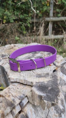 Vibrant purple mist BioThane dog collar with nickel hardware, displayed on weathered wood with countryside setting behind.