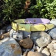 Two pet collars, one pastel yellow and one pastel purple with gold fittings, are placed on rocks outdoors, with green leafy plants and dried flowers in the background.