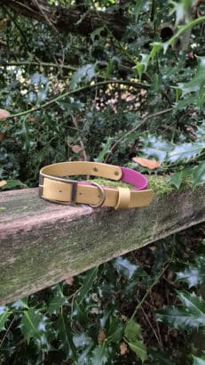 Winterberry Gold Two Colour Collar