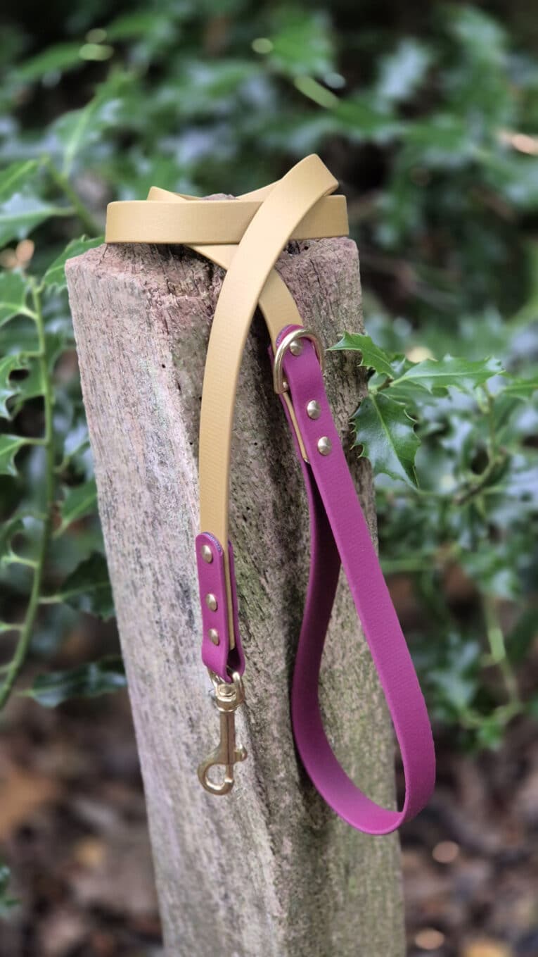 A two-tone dog lead with tan and purple sections and gold fittings is looped around a weathered wooden post, with green foliage in the background.