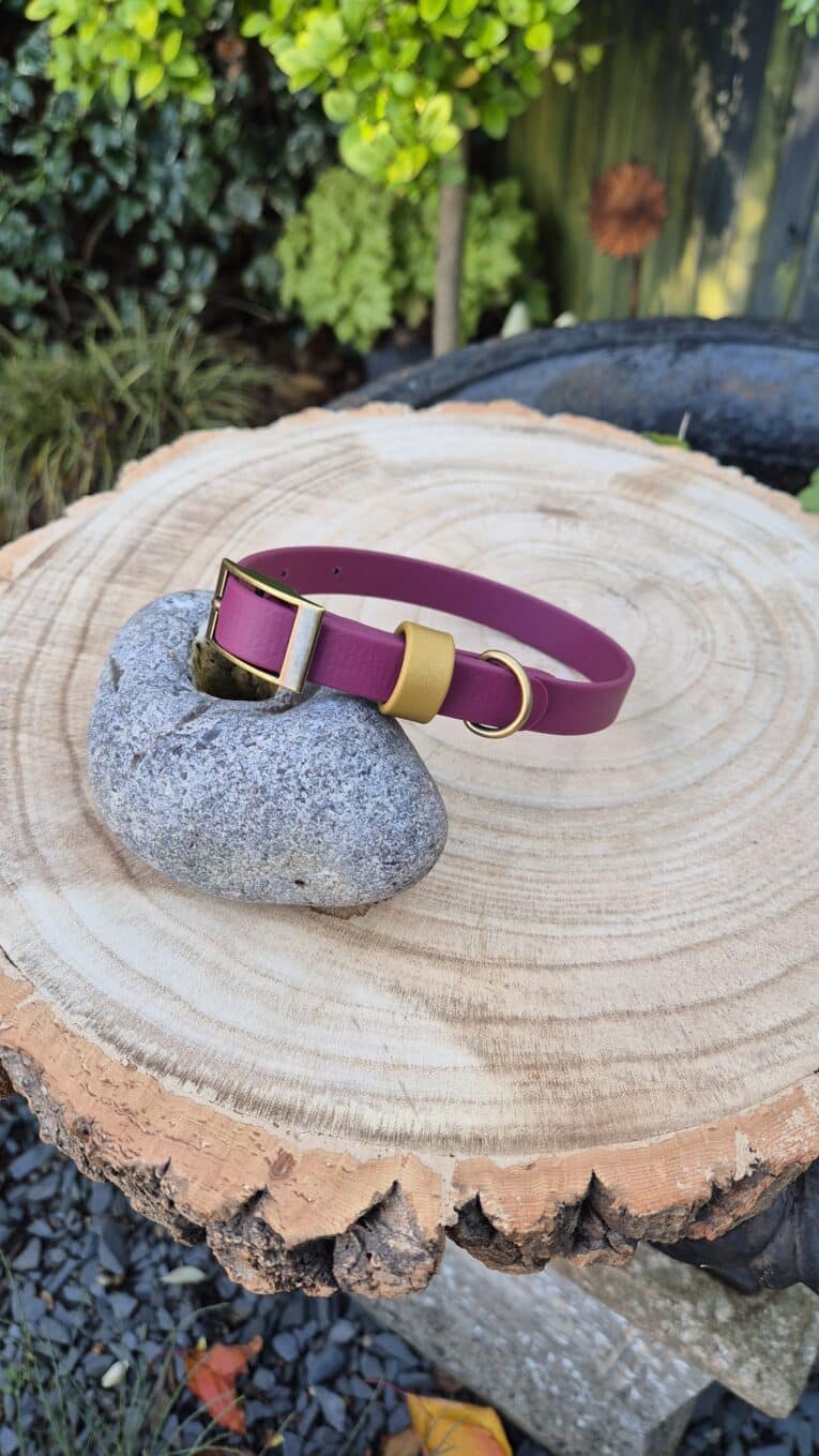 A maroon dog collar with gold and silver fittings is displayed on a smooth grey stone, placed on a large, round tree stump outdoors with greenery in the background.