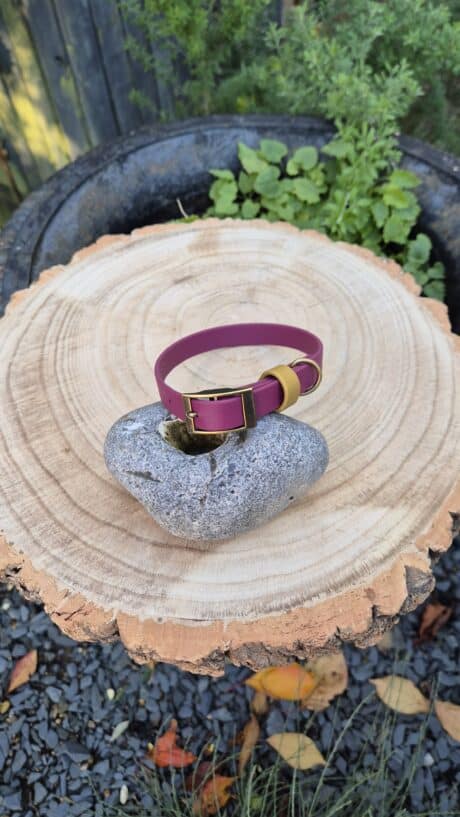 A pink bracelet with a gold buckle is displayed on a grey stone, which sits on top of a tree stump surrounded by greenery and fallen leaves.