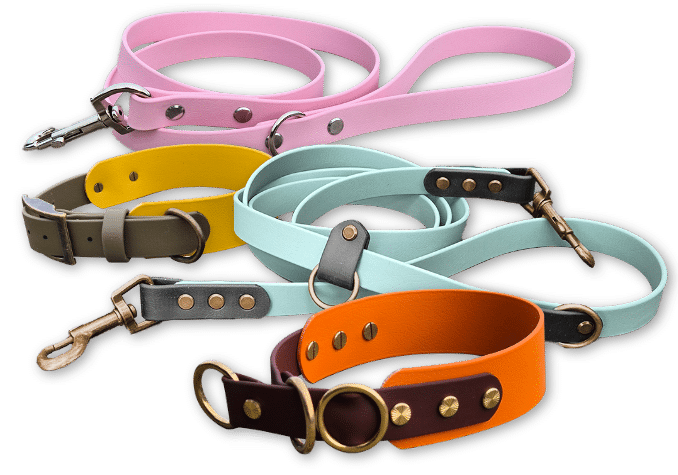 A group of colourful dog collars and leads in pink, yellow, light blue, and orange with metal buckles and fittings, arranged overlapping on a white background.