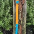 The Citrus Coast Two Colour Collar, featuring orange and blue hues, is fastened around a weathered wooden post amidst lush green foliage outdoors.