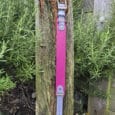 The Heather Mist Tapered Collar, a pink and grey smartwatch with a gold buckle, is strapped vertically to a weathered tree stump in a garden surrounded by green plants and pebbles.