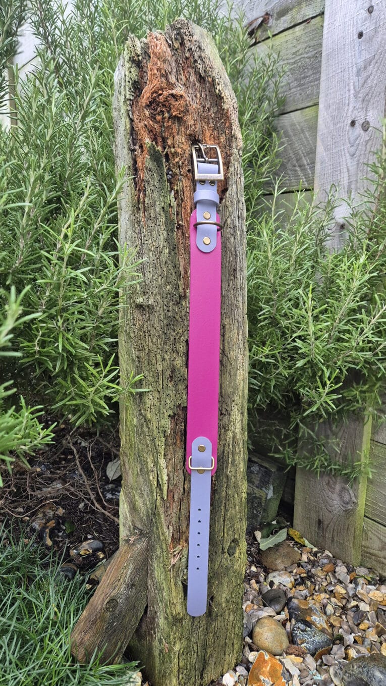 The Heather Mist Tapered Collar, a pink and grey smartwatch with a gold buckle, is strapped vertically to a weathered tree stump in a garden surrounded by green plants and pebbles.