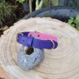 Sweet Violet two colour BioThane dog collar with brass fittings, displayed on natural wood slice in garden setting.