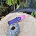 A Sweet Violet Two Colour Collar in purple and pink with a brass buckle lies on a large tree stump beside a grey stone with a hole. Lush green plants and a wooden fence are in the background.
