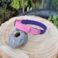 The Sweet Violet Two Colour Collar is shown on a round tree stump beside a holed grey stone, set in a garden with lush green plants and a wooden fence in the background.