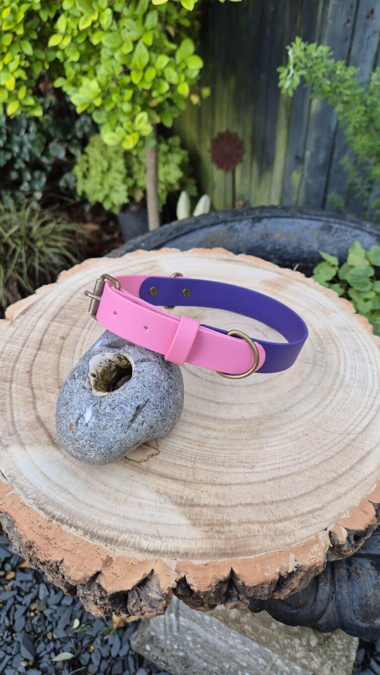 The Sweet Violet Two Colour Collar is shown on a round tree stump beside a holed grey stone, set in a garden with lush green plants and a wooden fence in the background.