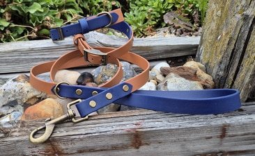 A tan and blue dog lead and collar set with brass fittings lies coiled on weathered wooden boards and rocks, surrounded by greenery—an ideal choice for dog owners seeking stylish, durable dog leads for outdoor adventures.