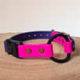 The Custom Quick-Snap Bungee Collar Strap, in bright pink and blue with brass rivets, a black plastic buckle, and a black metal ring, is shown on a wooden surface against a plain background.