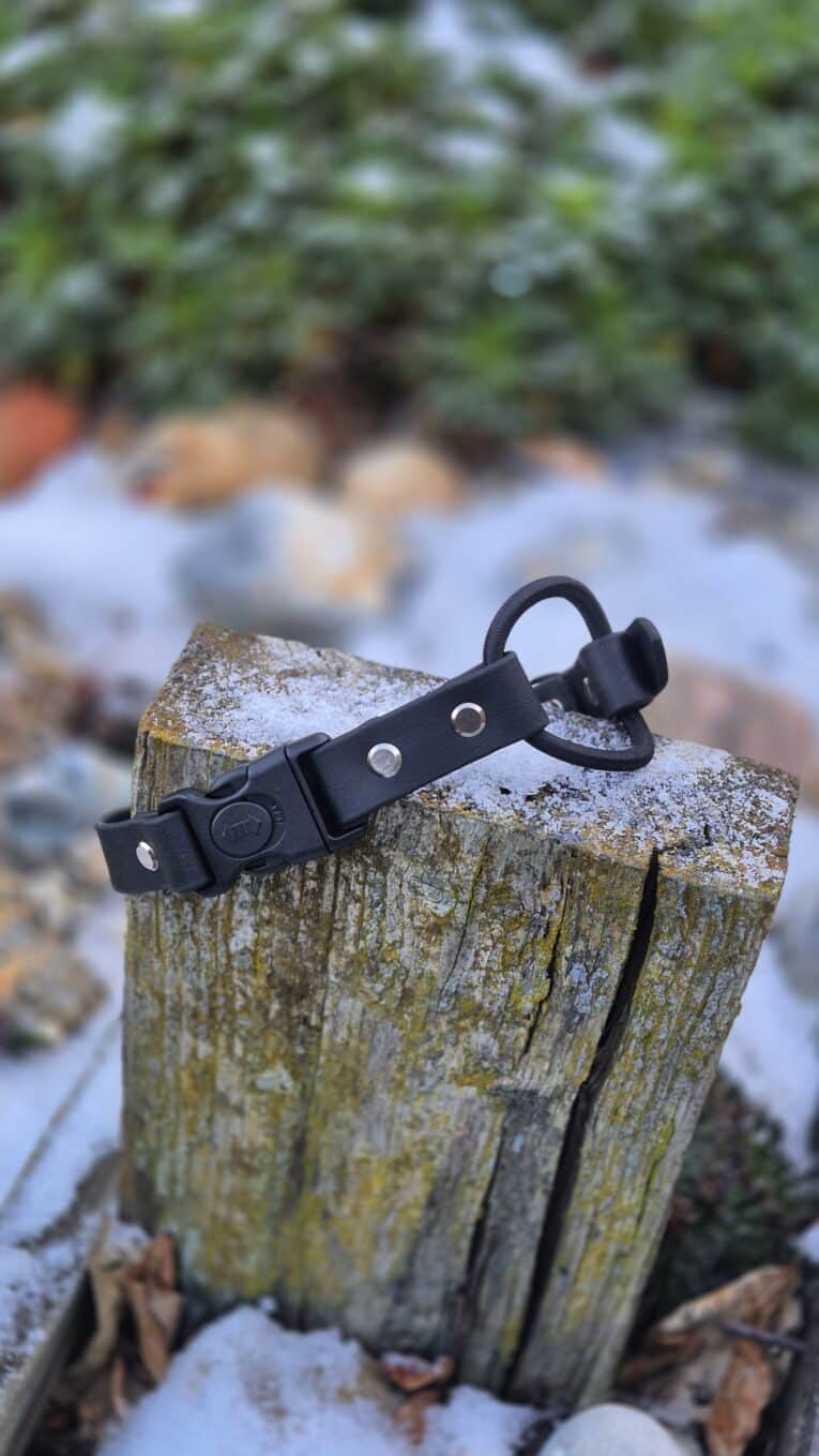 The Quick-Snap Bungee Collar, black with metal studs and a buckle, sits on a weathered tree stump outdoors amid snow patches, rocks, and green foliage.