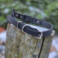 A black leather Quick-Snap Bungee Collar with a silver buckle and metal fittings rests on a weathered wooden post outdoors, its reliability highlighted against blurred green foliage in the background.