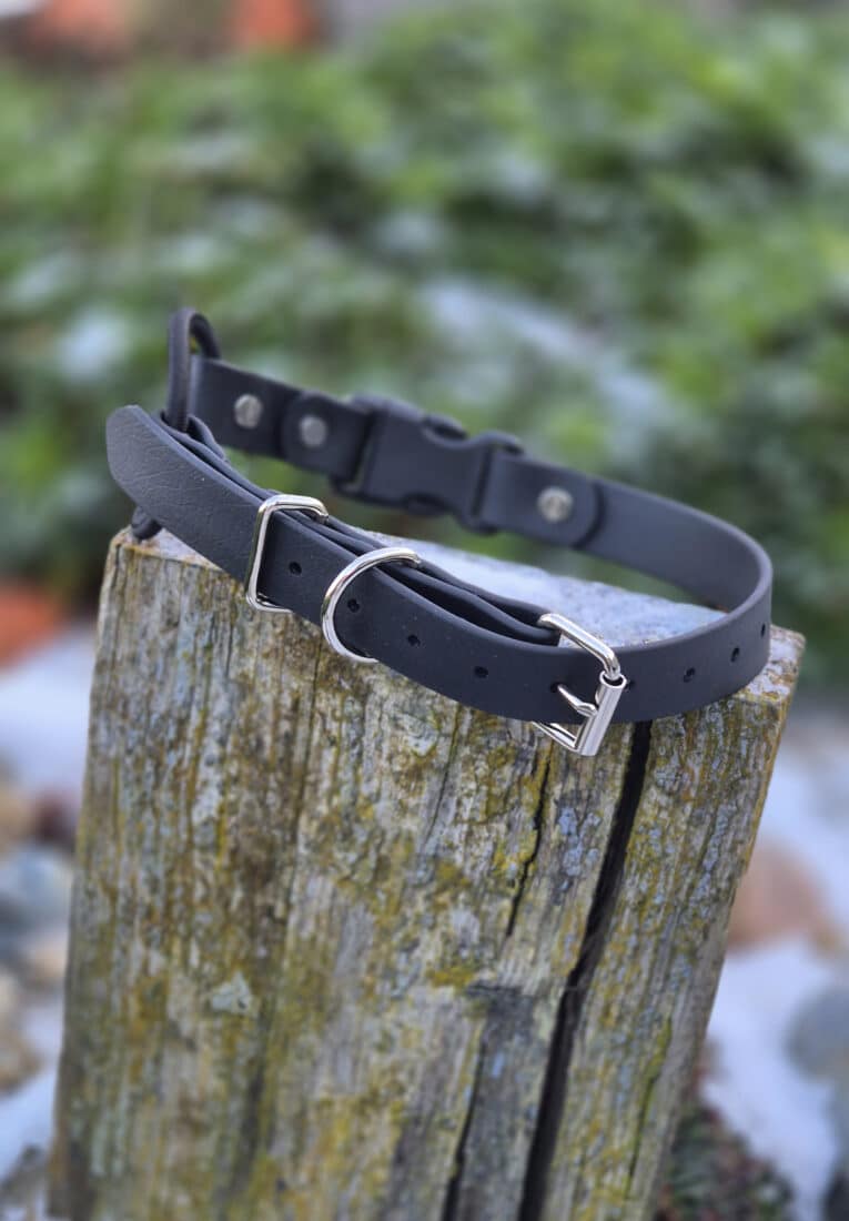A black leather Quick-Snap Bungee Collar with a silver buckle and metal fittings rests on a weathered wooden post outdoors, its reliability highlighted against blurred green foliage in the background.