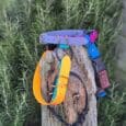 Four colourful Quick-Snap Bungee Collars—purple, orange, black, and blue—are draped over a weathered wooden post with green plants in the background; one features a quick-snap design for easy on and off.