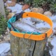 A Quick-Snap Bungee Collar in orange and blue rests on a weathered wooden stump outdoors, surrounded by patches of snow, green plants, and rocks.