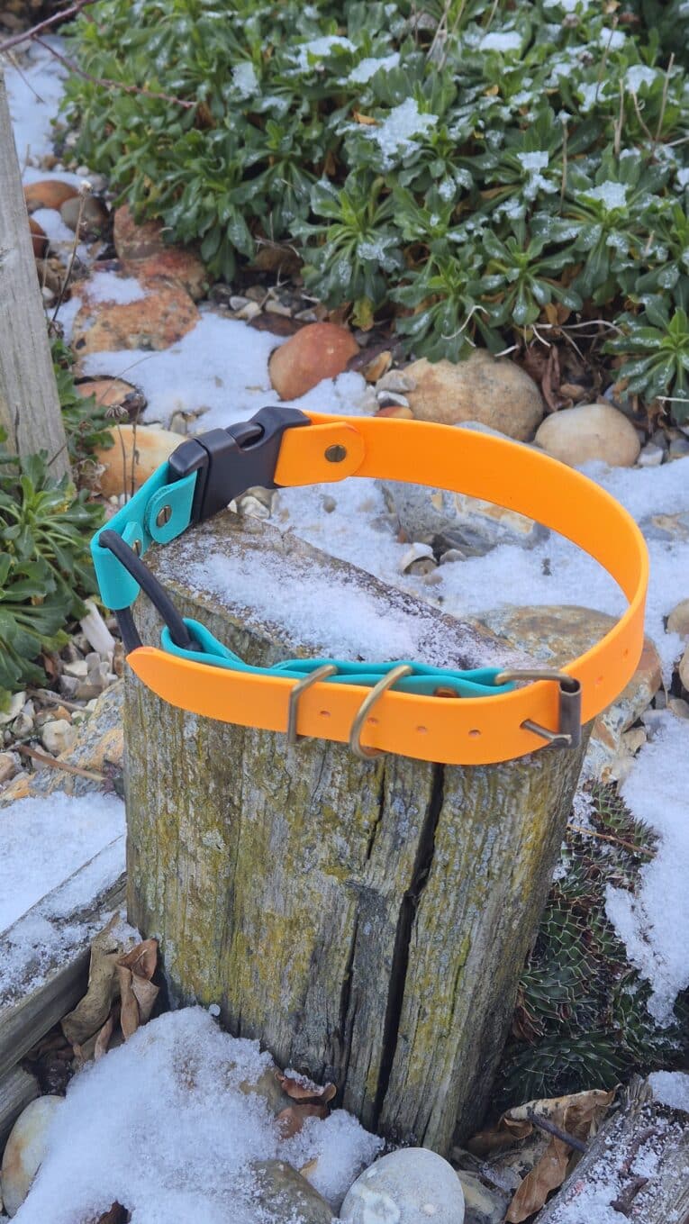 A Quick-Snap Bungee Collar in orange and blue rests on a weathered wooden stump outdoors, surrounded by patches of snow, green plants, and rocks.