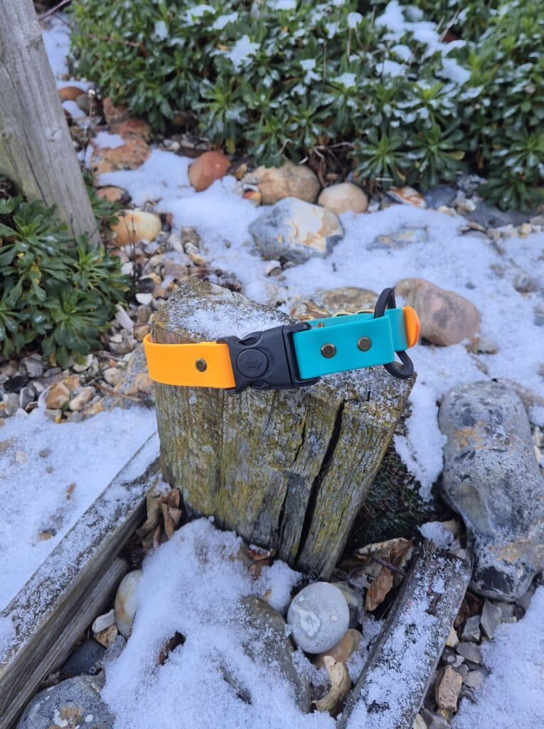 The Quick-Snap Bungee Collar, featuring a bright orange and teal design with an easy Quick-Snap buckle, sits on a weathered wooden post among snow, rocks, and greenery in an outdoor garden.