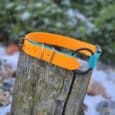 The Quick-Snap Bungee Collar, featuring a bright orange and teal design with a metal buckle, is draped over a weathered tree stump outdoors among patches of snow, rocks, and greenery.