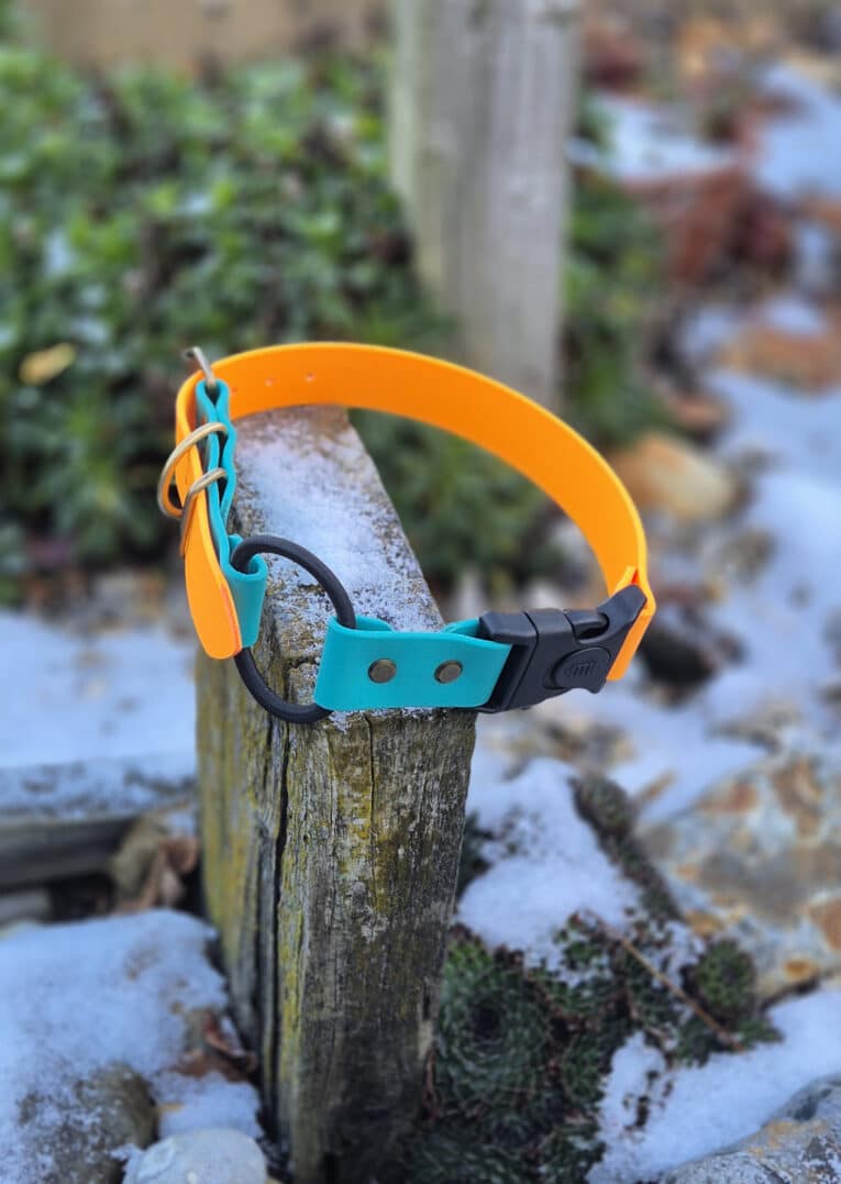A bright orange and teal Quick-Snap Bungee Collar with a black buckle is wrapped around a weathered wooden post outdoors, surrounded by snow patches and green plants.