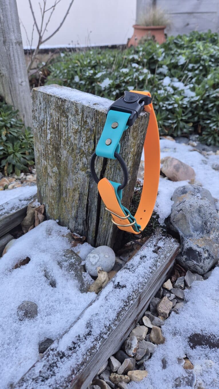 The Quick-Snap Bungee Collar, featuring a teal and orange strap, hangs on a weathered wooden post outdoors amid rocks, greenery, and a light layer of snow.