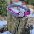 A Quick-Snap Bungee Collar in purple and pink with a metal ring hangs on a weathered wooden post outdoors, surrounded by snow patches, small stones, and green plants.