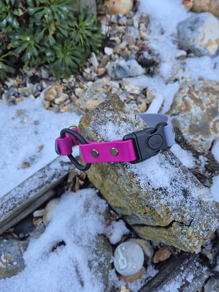 The Quick-Snap Bungee Collar in pink and grey, featuring a black quick-snap buckle, sits on a mossy log dusted with snow amid small rocks and snowy patches.