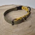 The Quick-Snap Bungee Collar features olive green and yellow straps, metal buckles, and a black plastic clasp, shown on a round wooden surface.