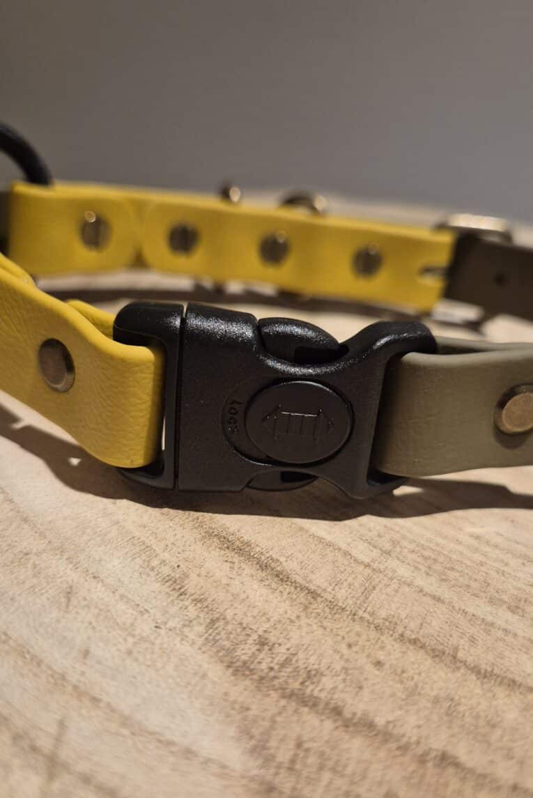 Close-up of two Quick-Snap Bungee Collars—one yellow, one beige—with black plastic buckles, fastened together and resting on wood. Features the convenient Quick-Snap Bungee Collar design for easy use.