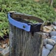 The Custom Quick-Snap Collar Strap in blue and olive green with brass fittings rests on a weathered wooden post, with smooth stones and green foliage softly blurred in the background.