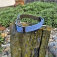A Custom Quick-Snap Collar Strap in blue and green with a brass buckle rests on a mossy wooden post outdoors, surrounded by greenery and rocks.