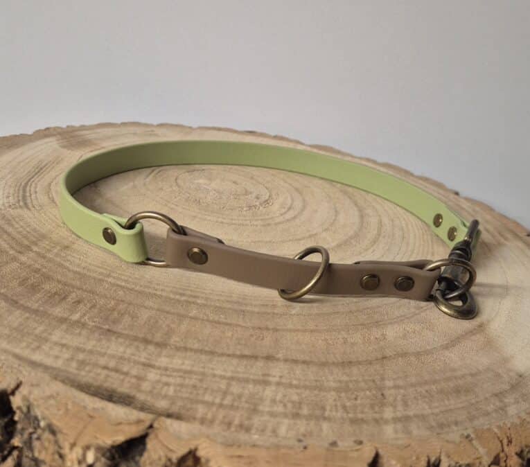 A green and brown dog collar with metal rings and rivets is displayed on a round, wooden tree slice against a plain, light background.