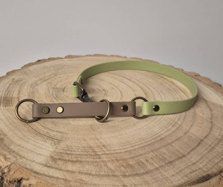 A two-tone dog collar with light green and beige leather sections, brass fittings, and circular rings, displayed on a wooden tree slice against a neutral background.