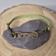 A two-tone dog collar with a green strap and a brown strap featuring brass fittings, displayed on a smooth, grey stone atop a circular, wooden surface.