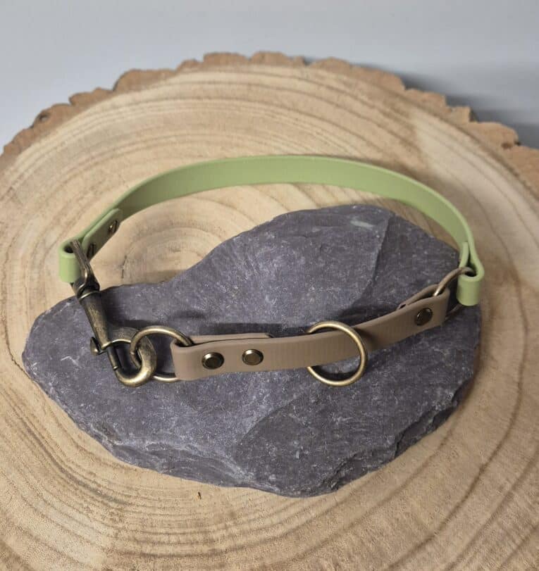 A two-tone dog collar with a green strap and a brown strap featuring brass fittings, displayed on a smooth, grey stone atop a circular, wooden surface.